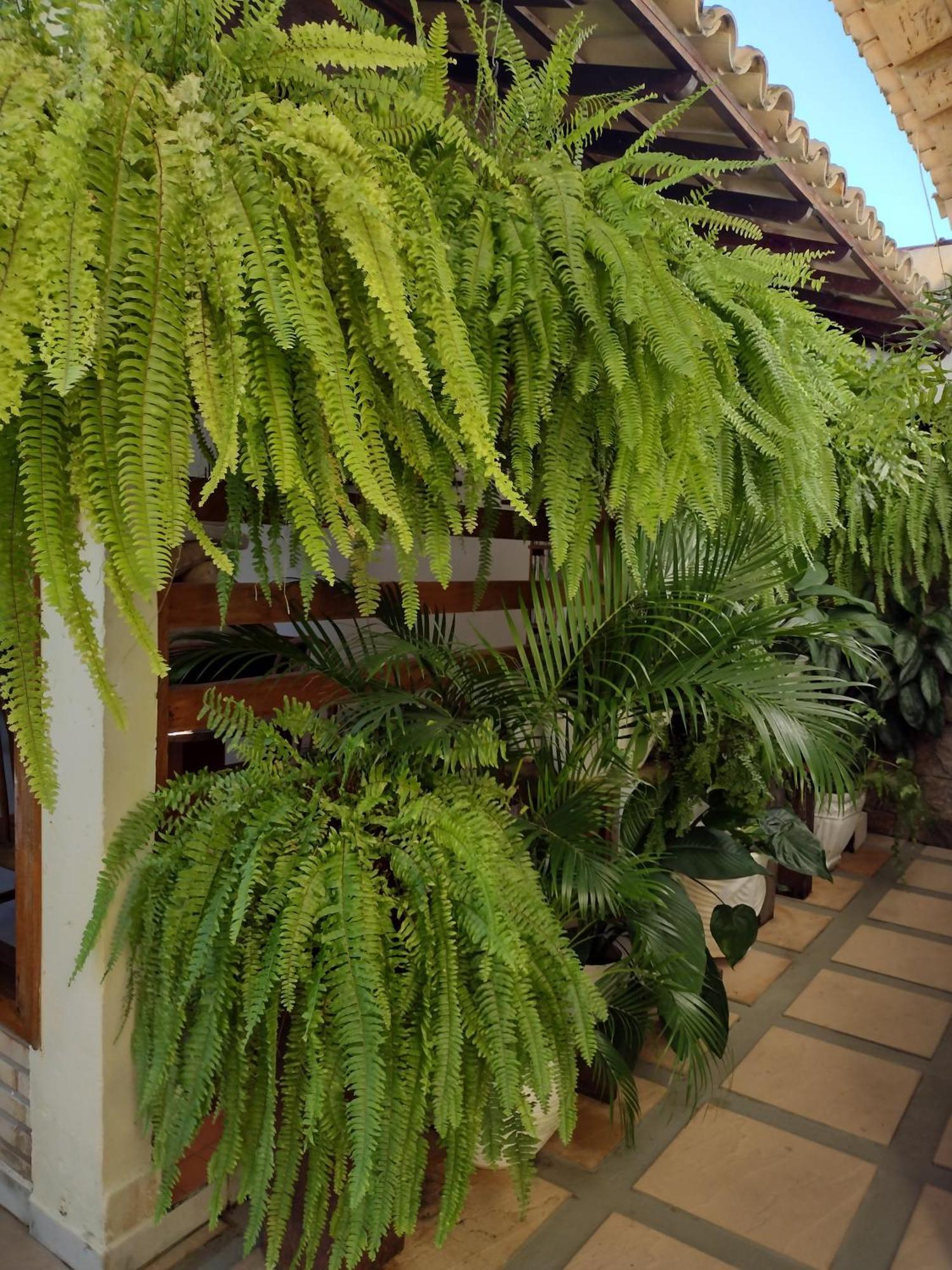 Pousada Vila Morena Itaunas  Extérieur photo